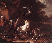 Birds and a Spaniel in a Garden sf HONDECOETER, Melchior d